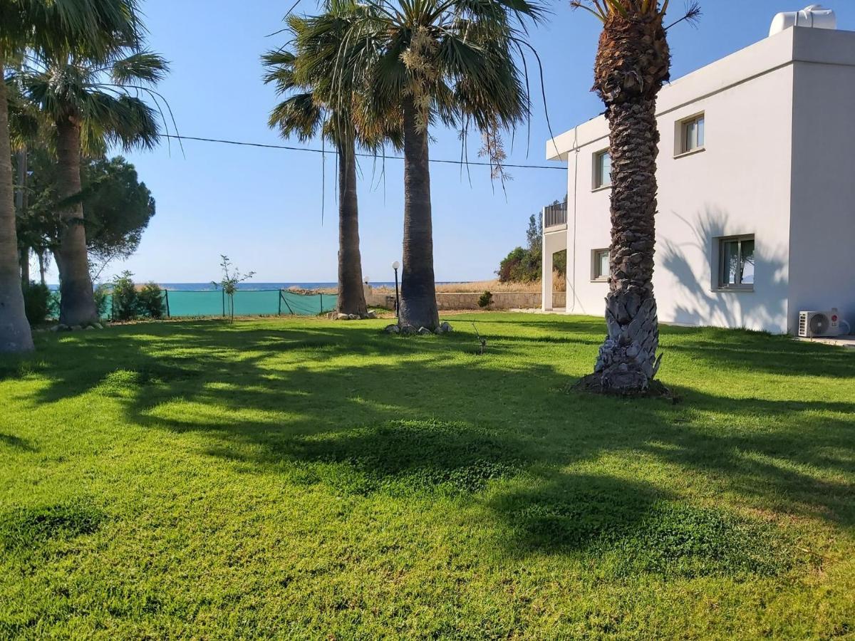 Argaka Palm Tree Apts Dış mekan fotoğraf