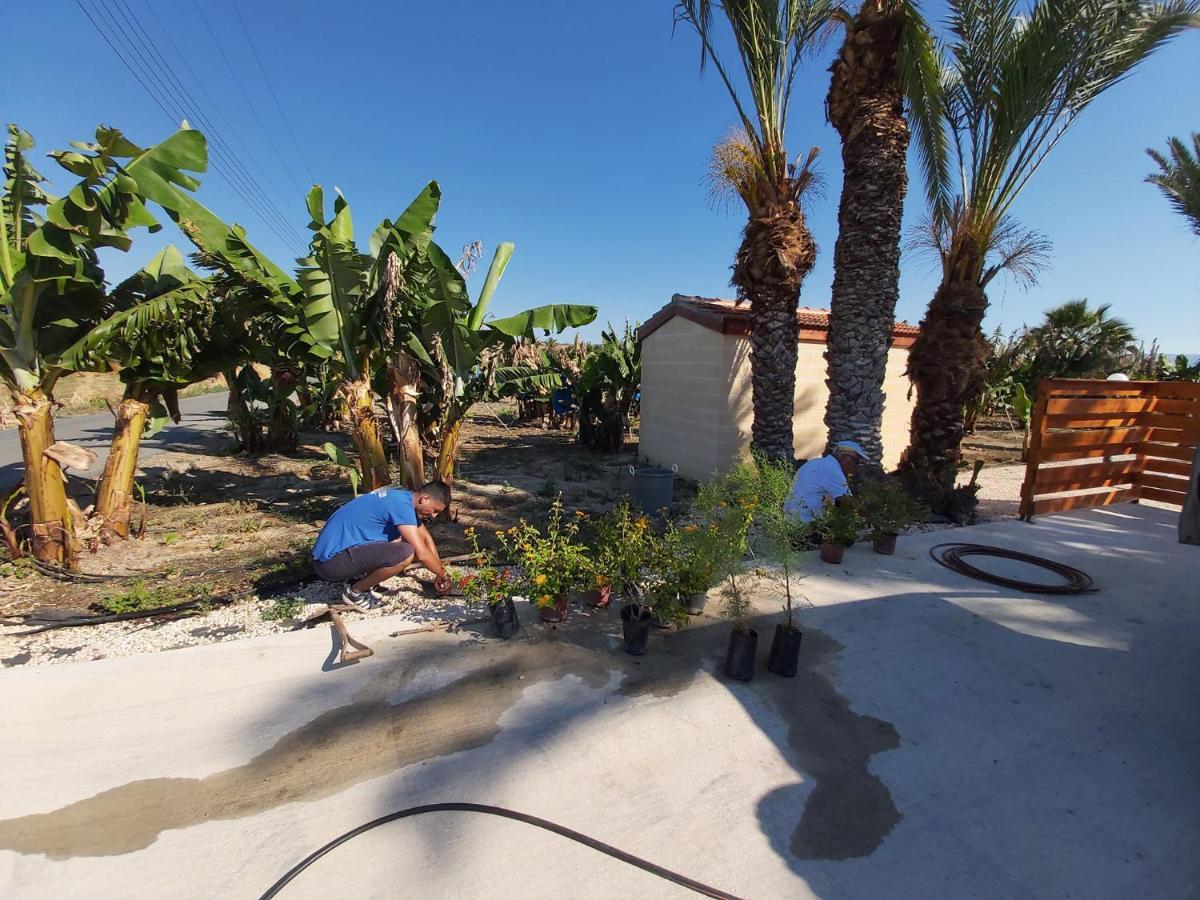 Argaka Palm Tree Apts Dış mekan fotoğraf